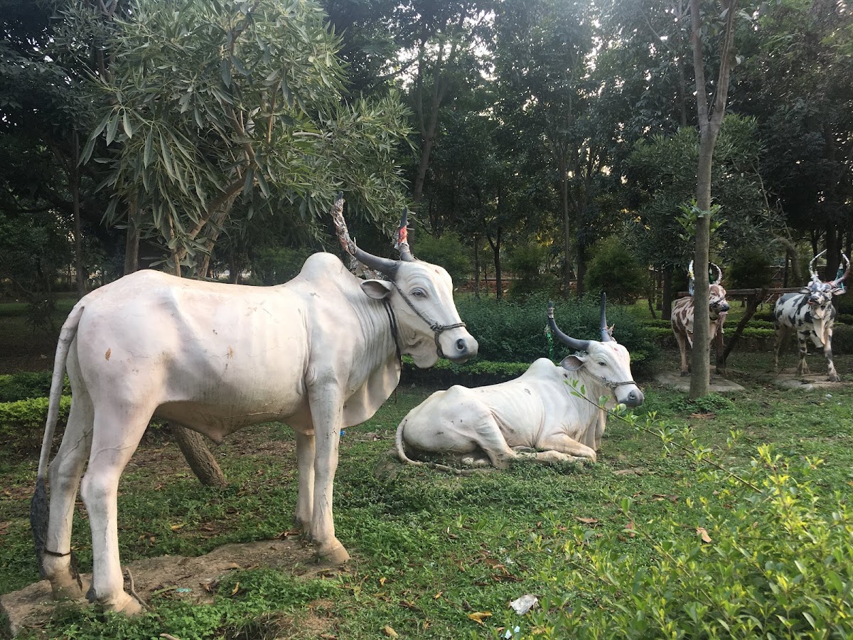 Jaya Prakash Narayana Park photo 2