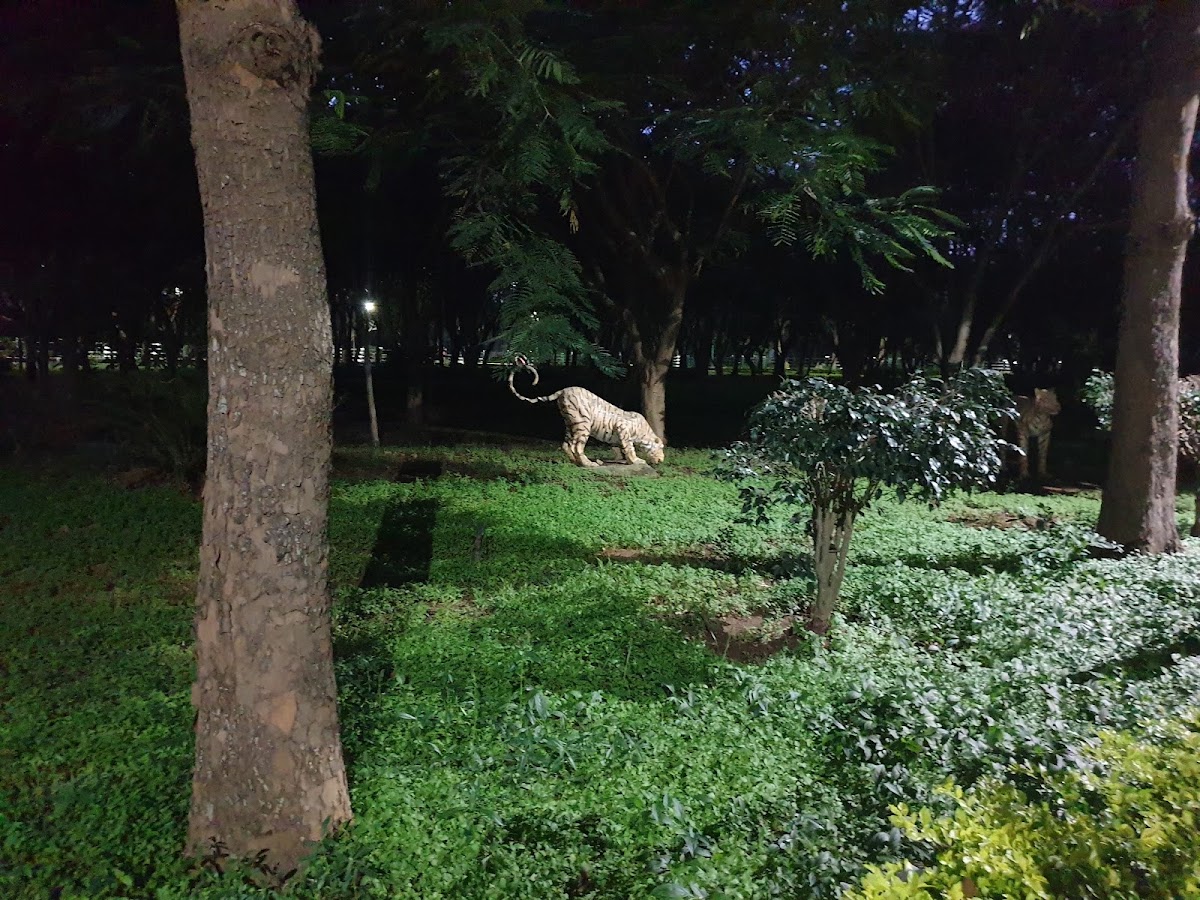 Jaya Prakash Narayana Park photo 6