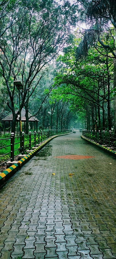 Jaya Prakash Narayana Park photo 7