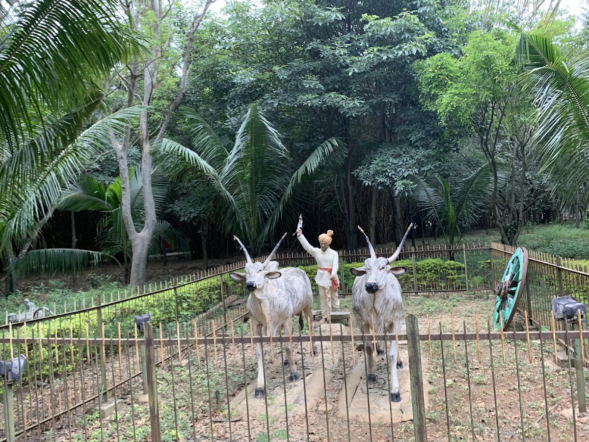 Jaya Prakash Narayana Park photo 8