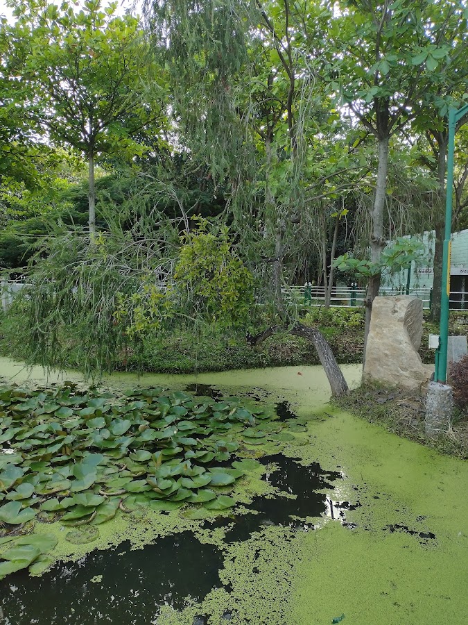 Jaya Prakash Narayana Park photo 10