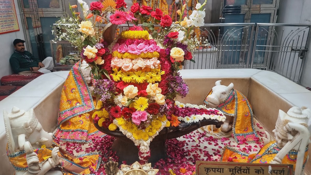 Sat Manzil Sanatan Dharam Temple, Tilak Nagar East photo 8