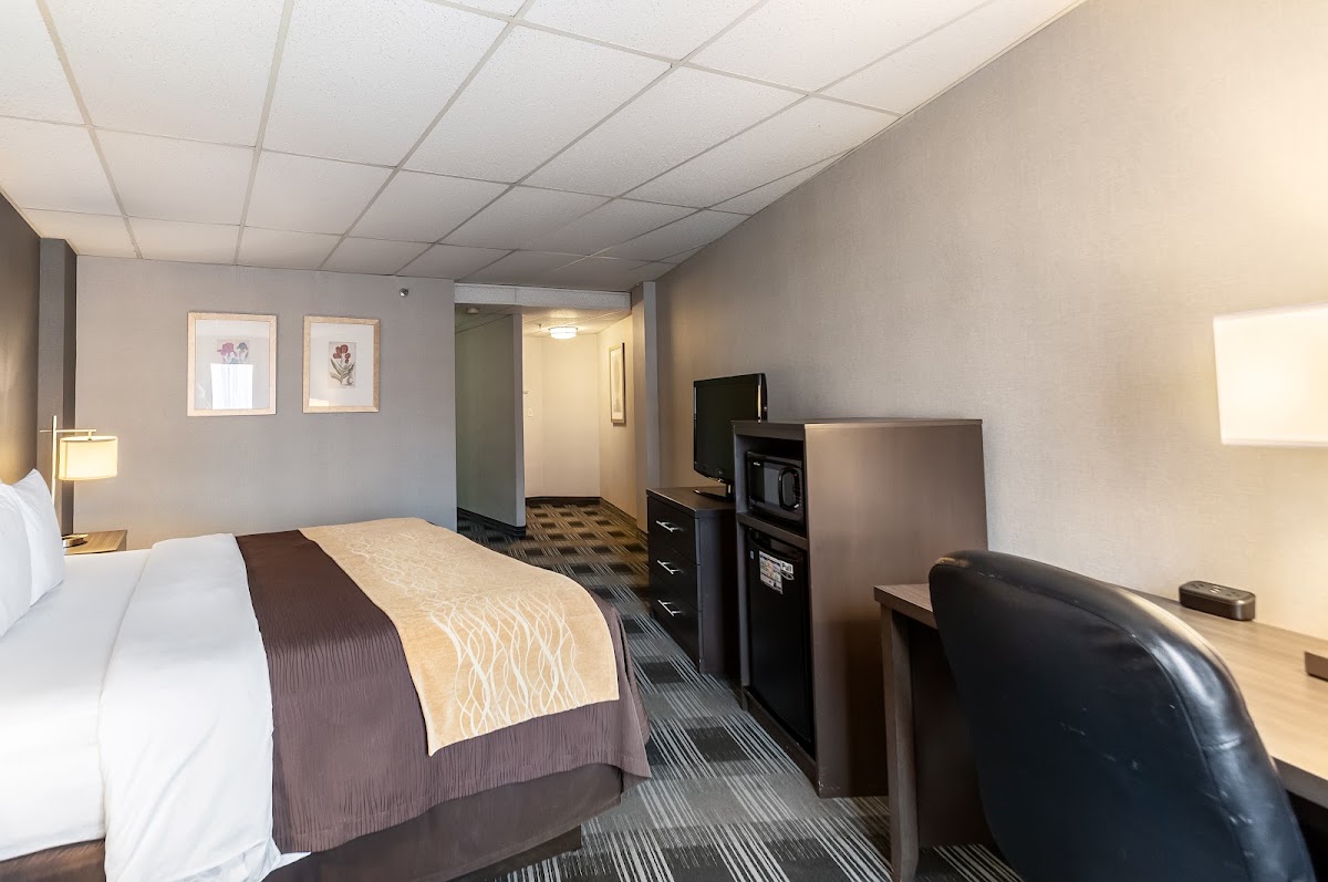 Comfort Inn Ballston photo 4