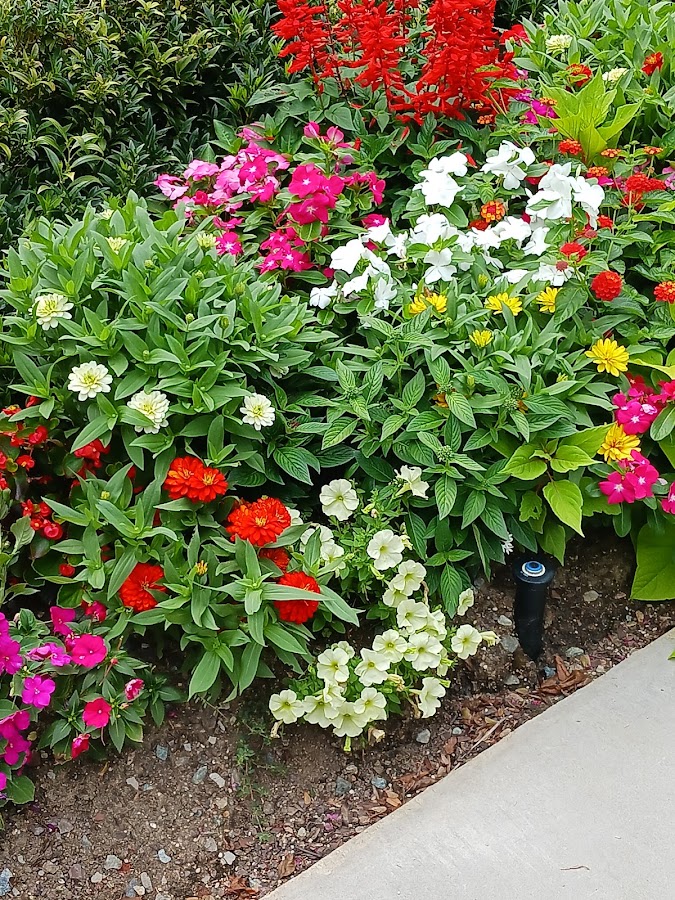 Washington D.C. Temple Visitors' Center photo 5