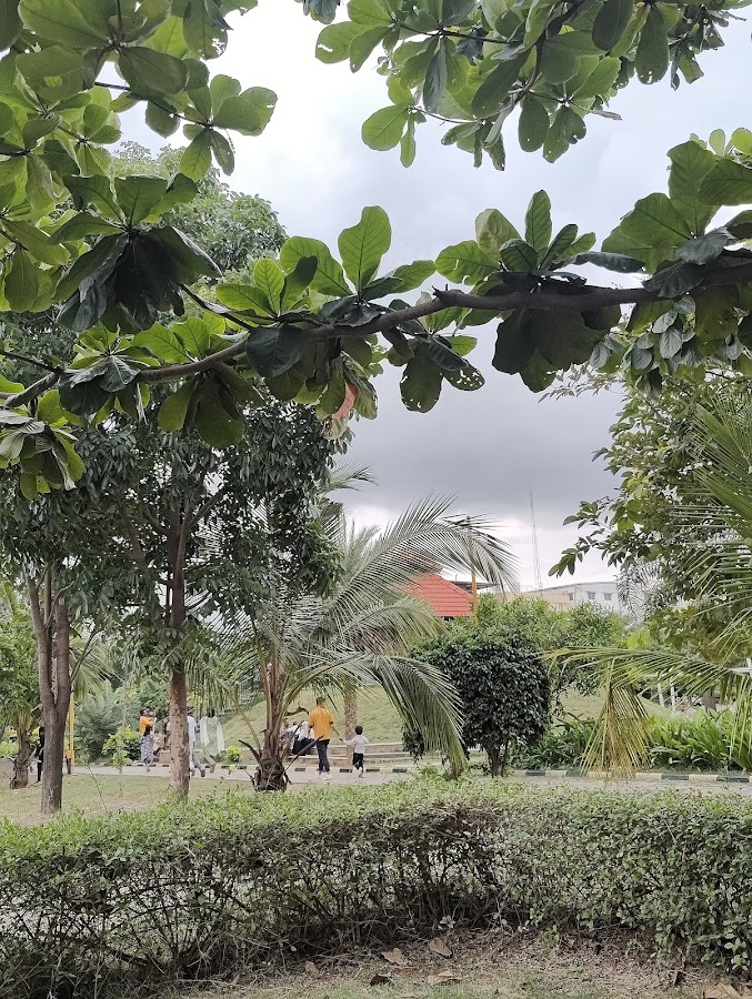 Tree Park photo 6