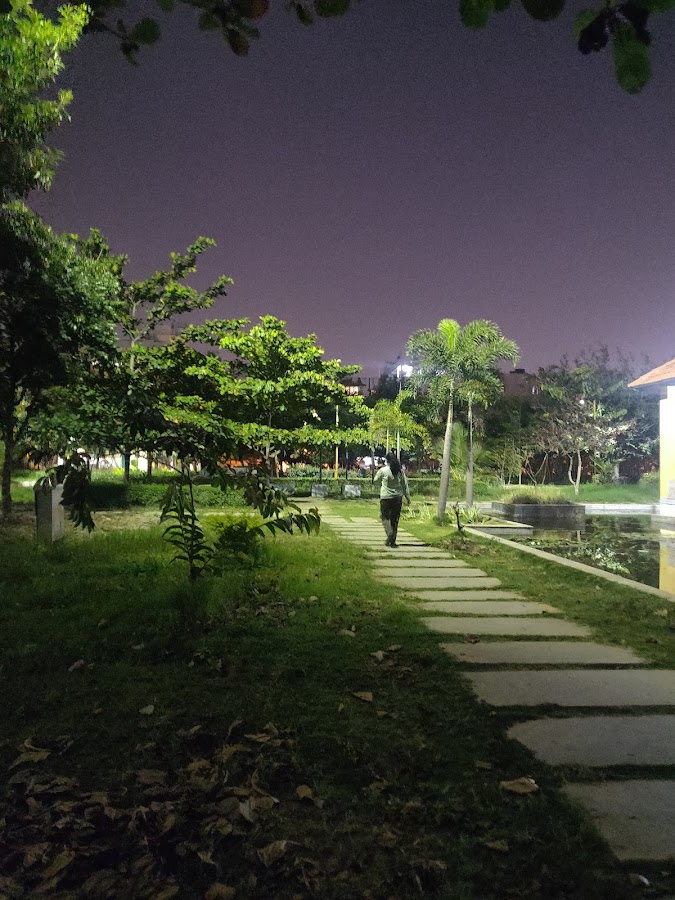 Tree Park photo 10