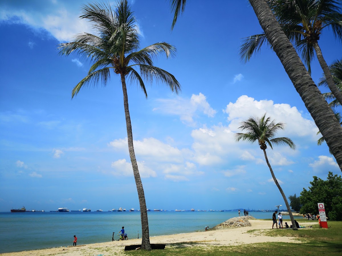 East Coast Park photo 3