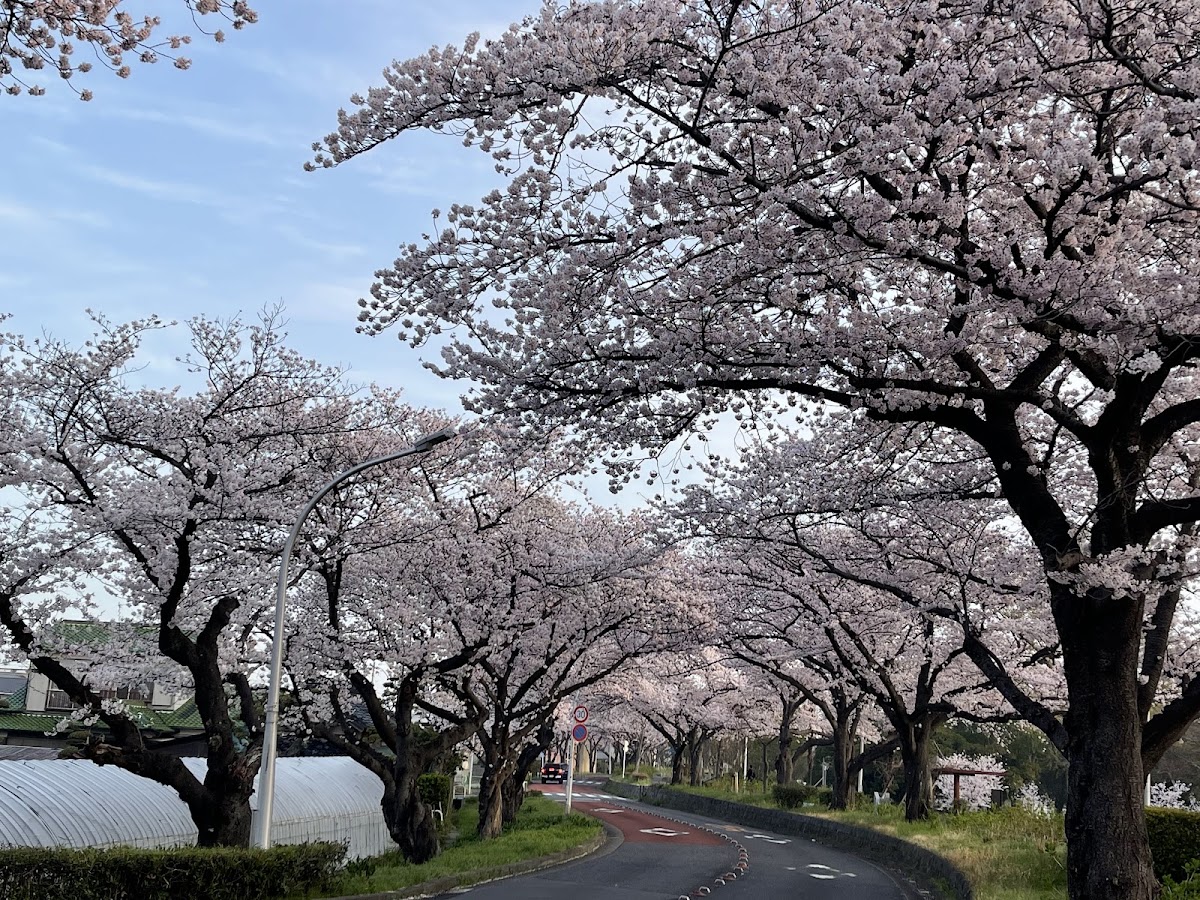 Mizumoto Park