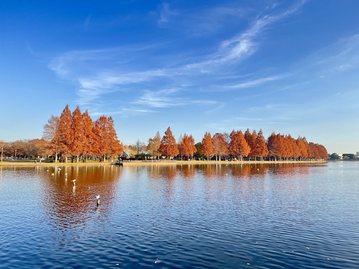 Mizumoto Park photo 2