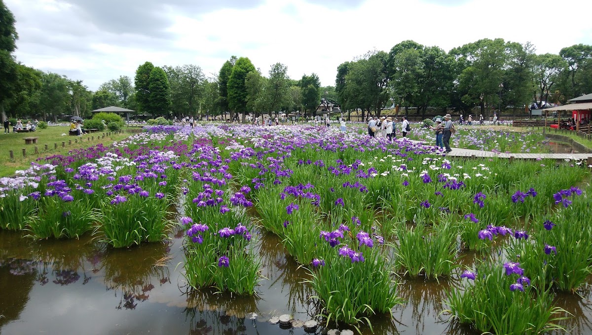 Mizumoto Park photo 3