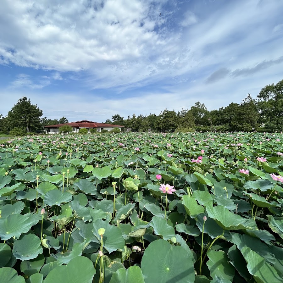 Mizumoto Park photo 4