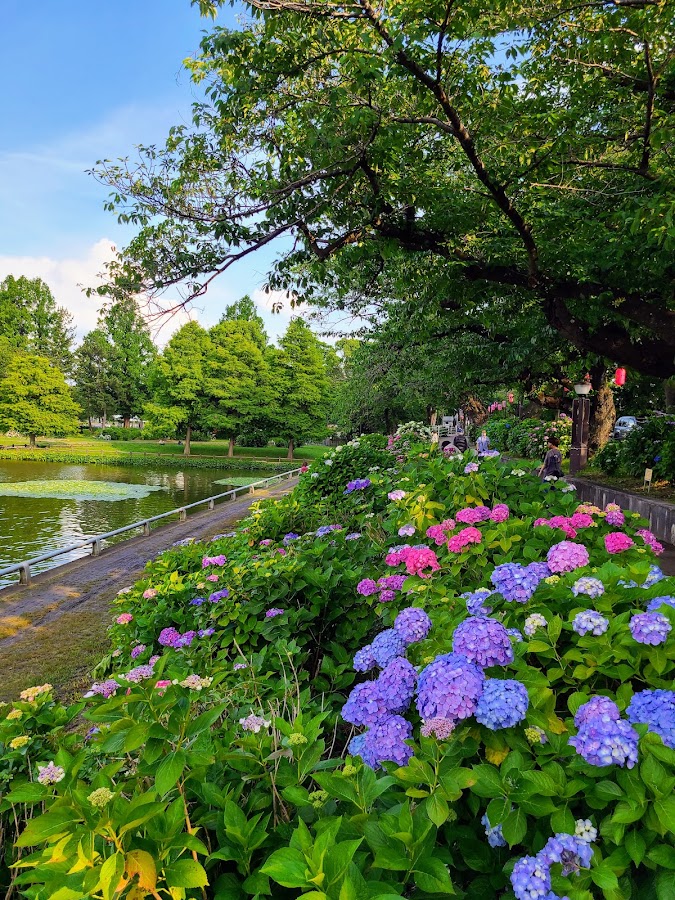 Mizumoto Park photo 5
