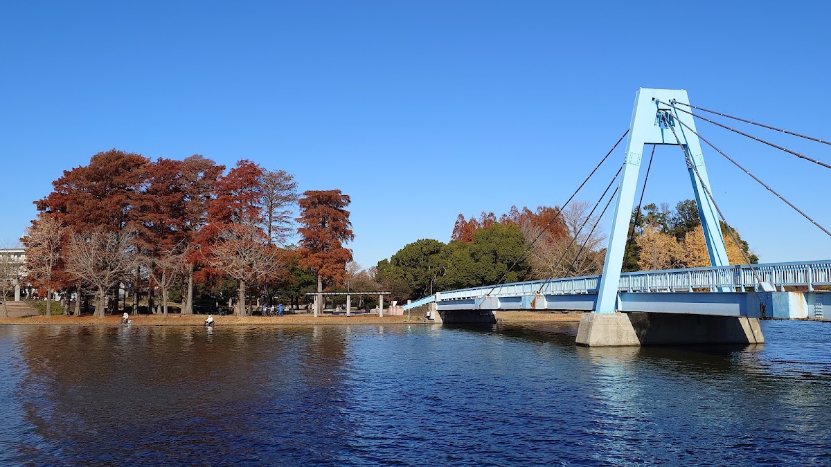 Mizumoto Park photo 6
