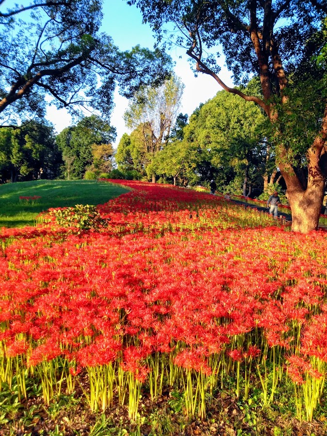Mizumoto Park photo 7