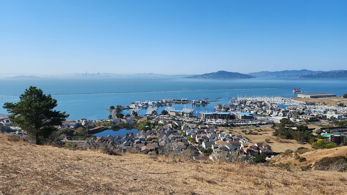 Miller/Knox Regional Shoreline photo 4
