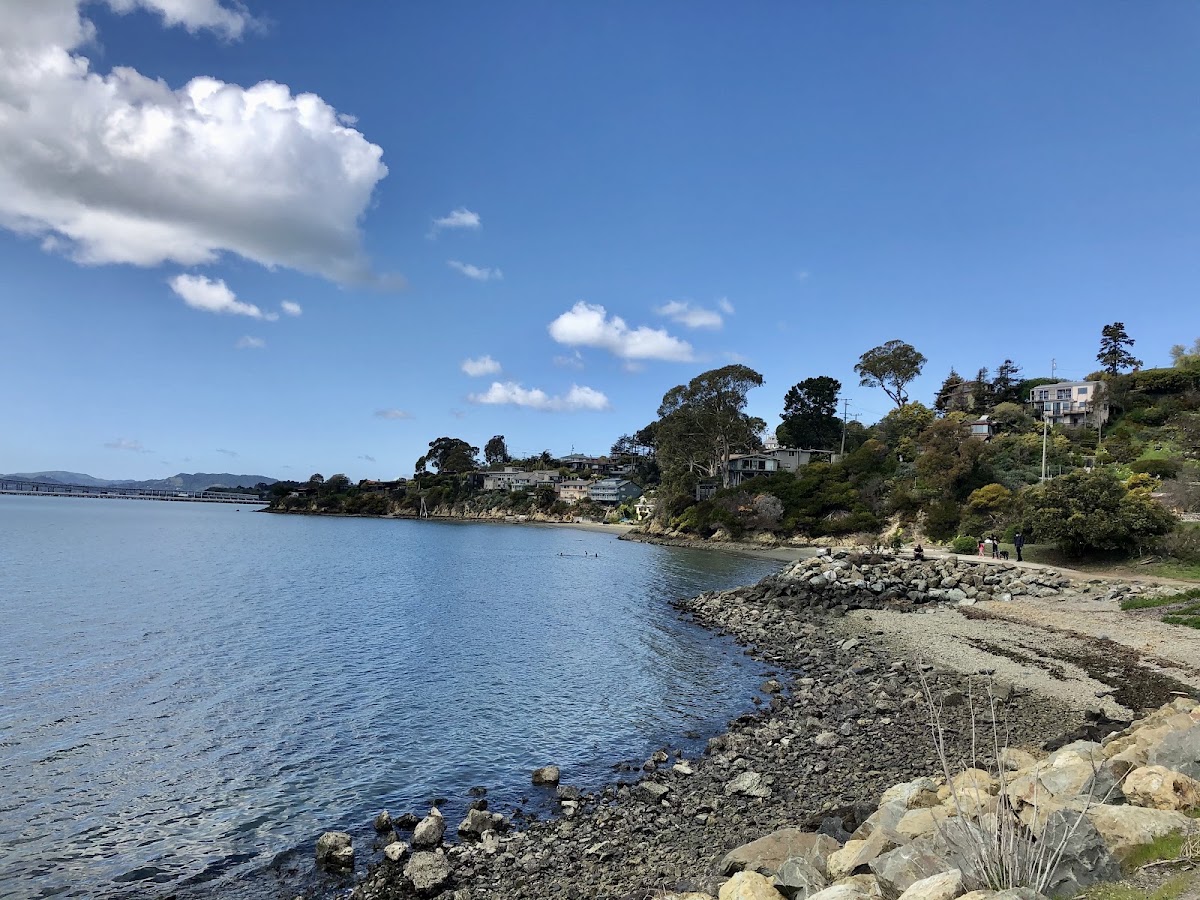 Miller/Knox Regional Shoreline photo 5