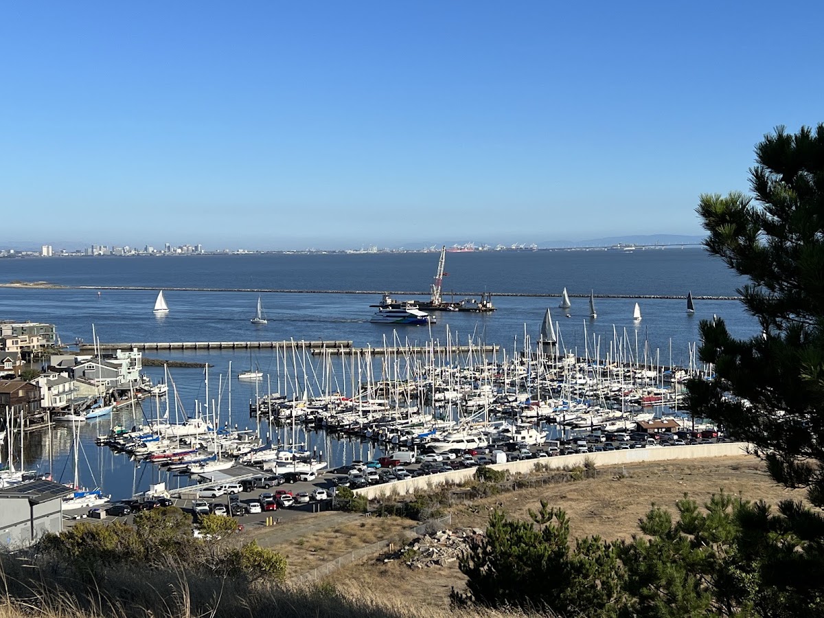 Miller/Knox Regional Shoreline photo 6