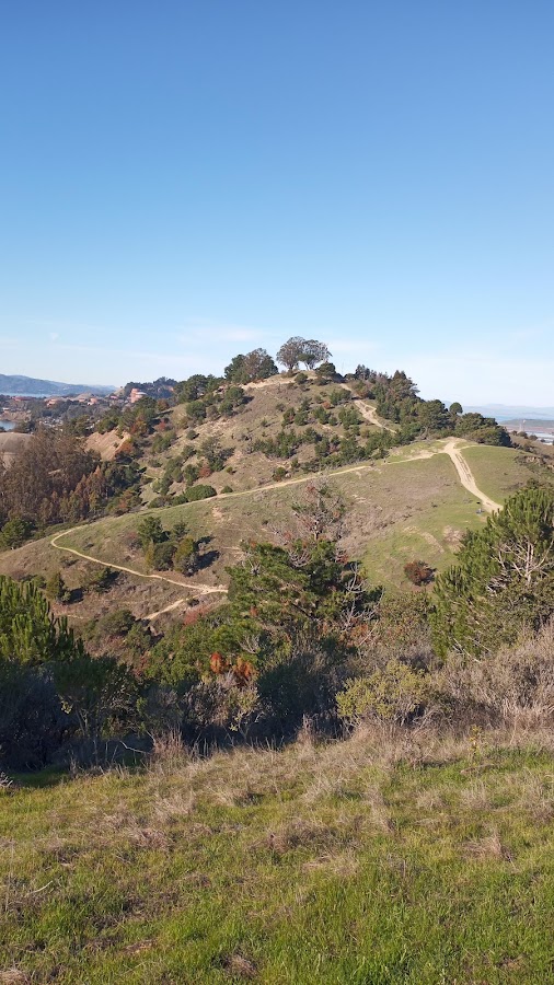 Miller/Knox Regional Shoreline photo 8