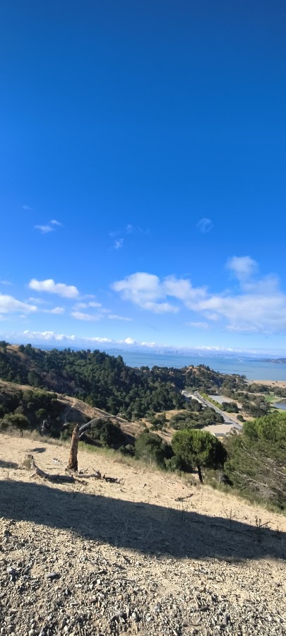 Miller/Knox Regional Shoreline photo 9