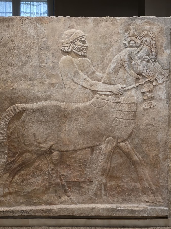 Institute for the Study of Ancient Cultures Museum photo 8
