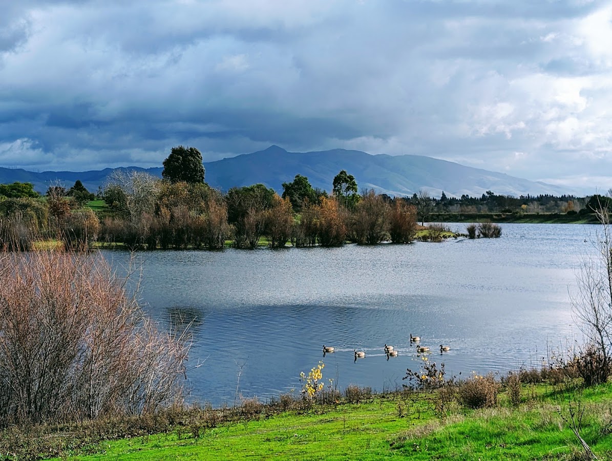 Quarry Lakes Regional Recreation Area photo 3