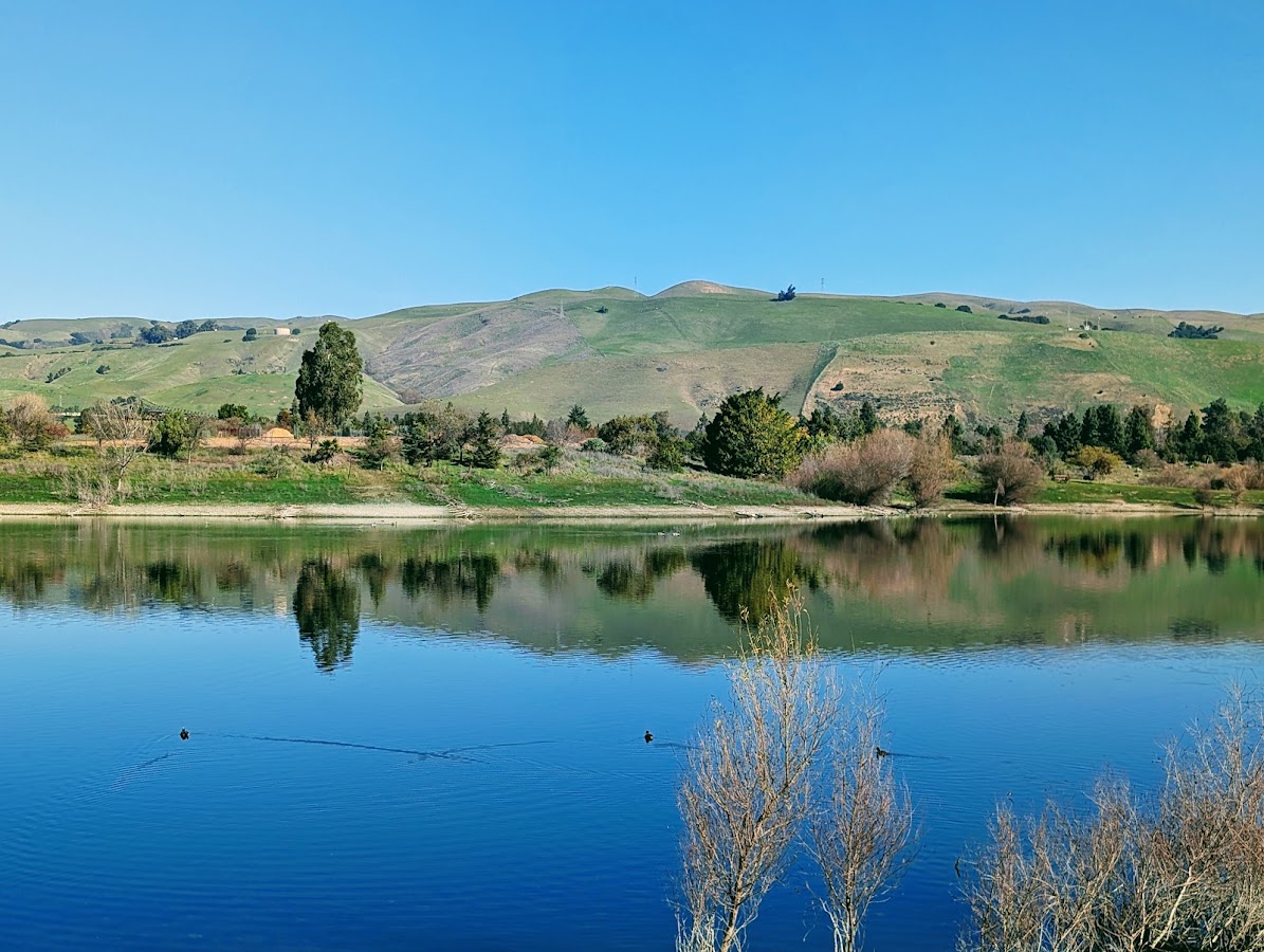 Quarry Lakes Regional Recreation Area photo 6