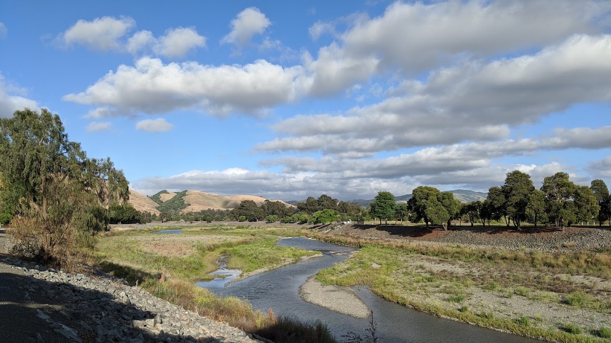 Quarry Lakes Regional Recreation Area photo 8