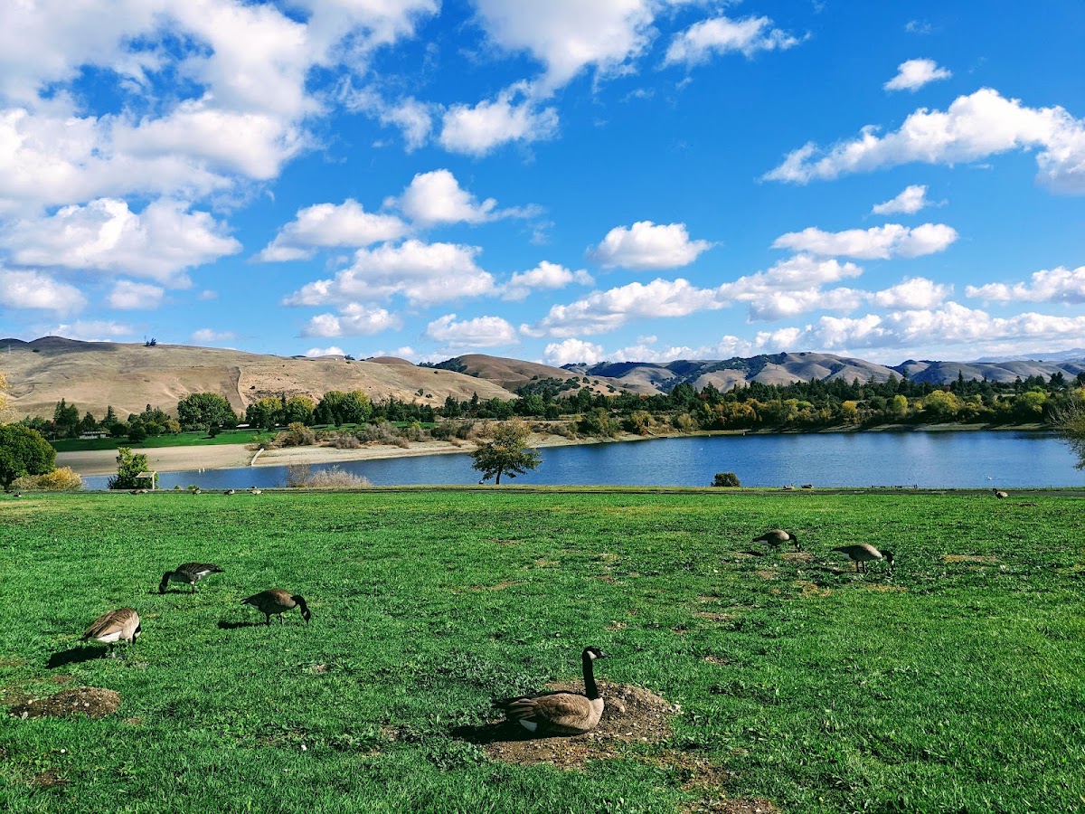 Quarry Lakes Regional Recreation Area photo 9