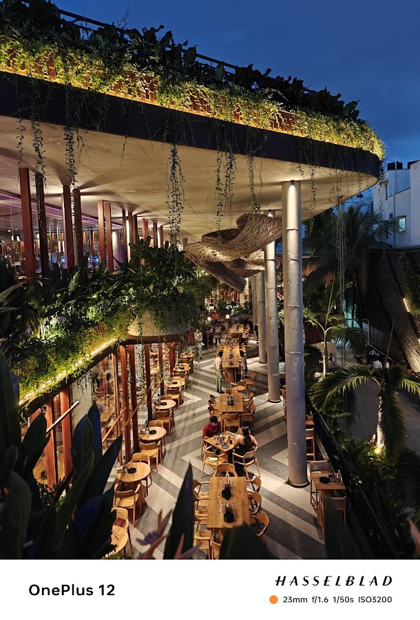 The Palms Brew and Kitchen