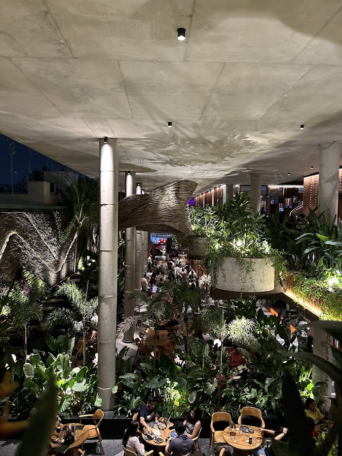 The Palms Brew and Kitchen photo 7