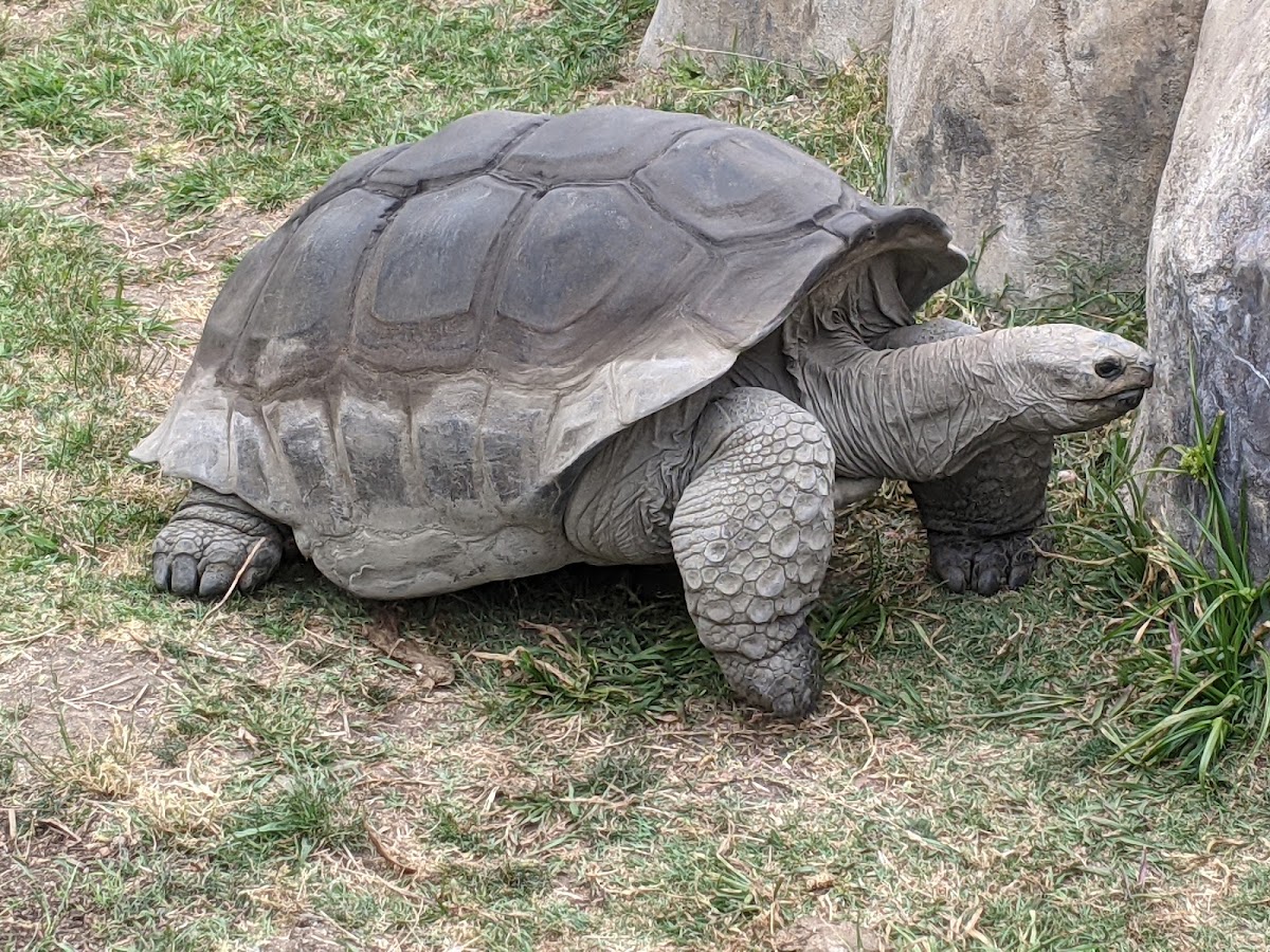 Oakland Zoo photo 6