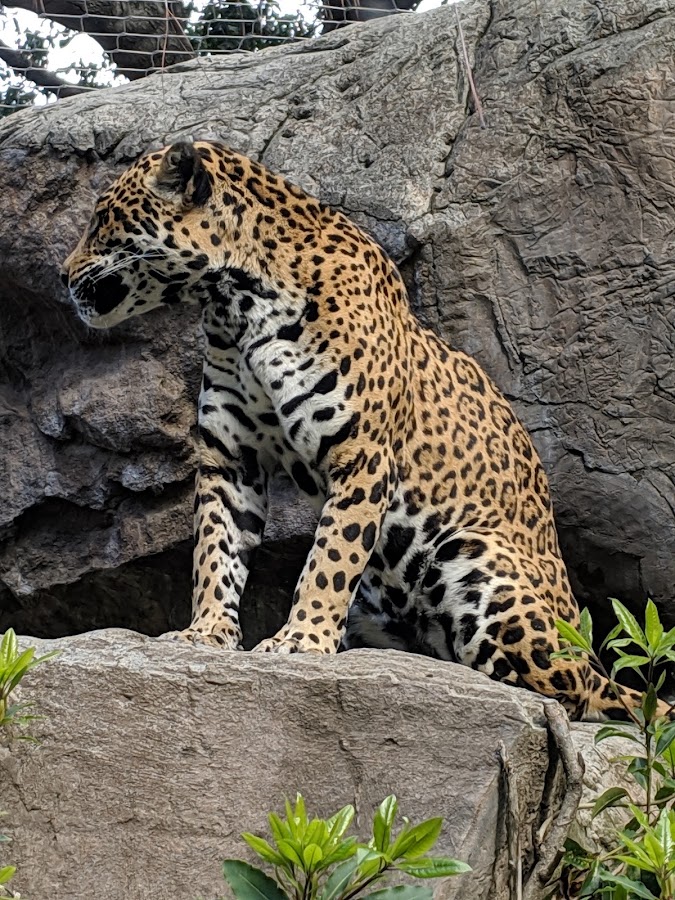 Happy Hollow Park & Zoo photo 10