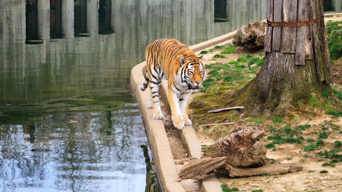 Smithsonian National Zoological Park photo 3