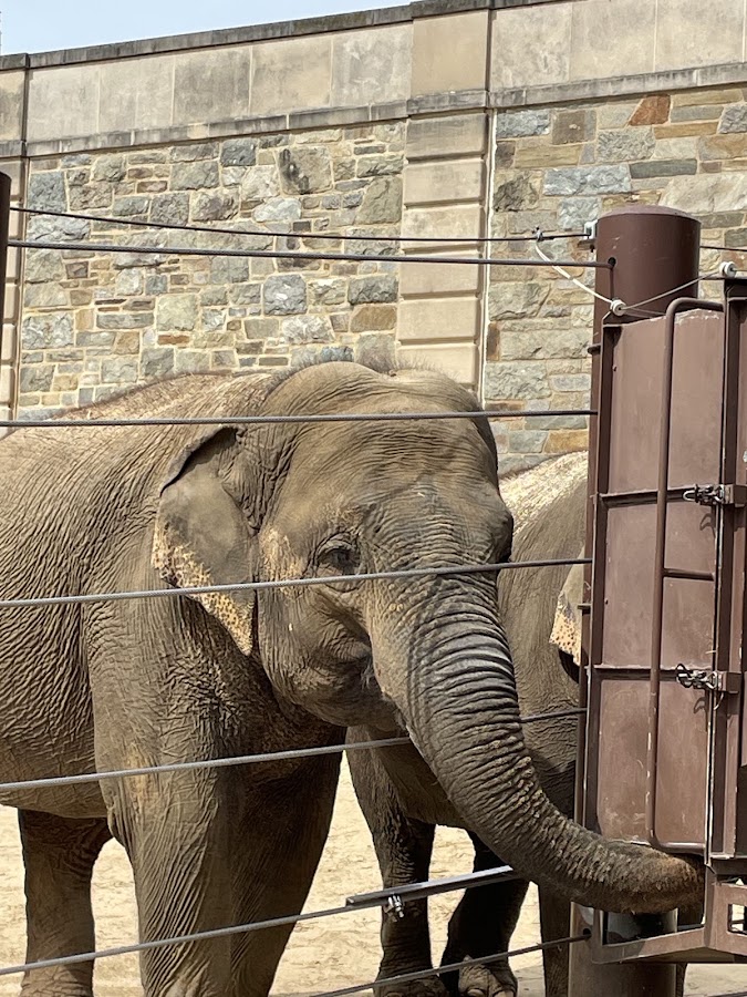 Smithsonian National Zoological Park photo 4