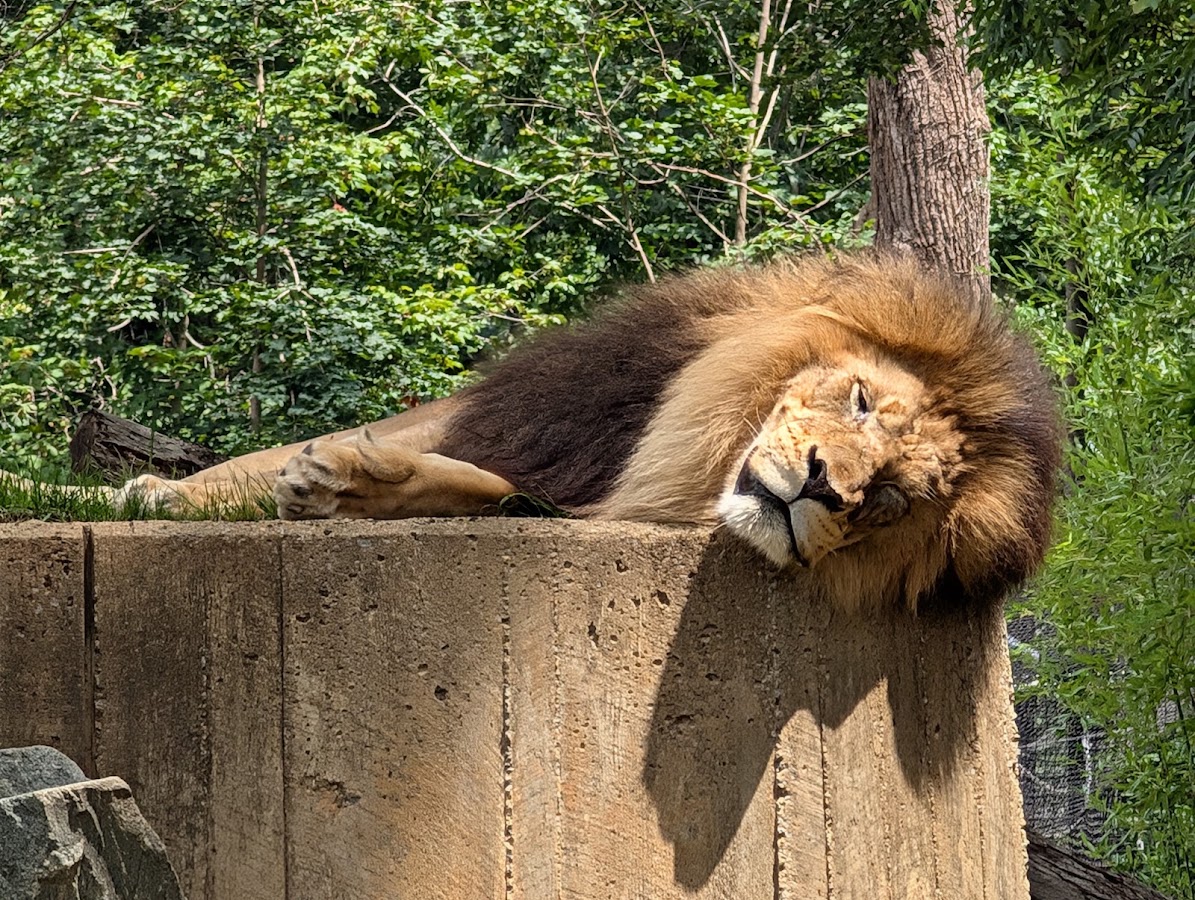 Smithsonian National Zoological Park photo 6