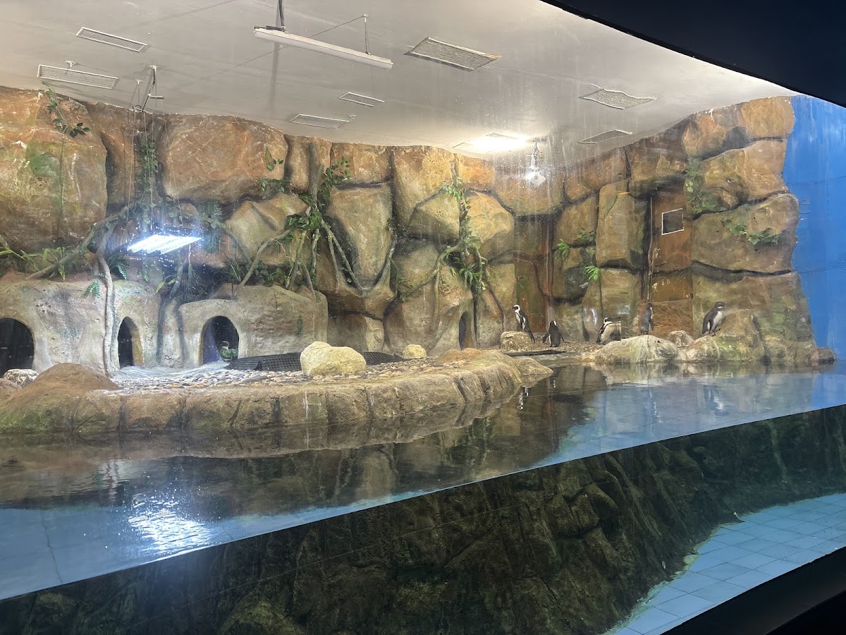 Aquatic Gallery - Science City photo 5