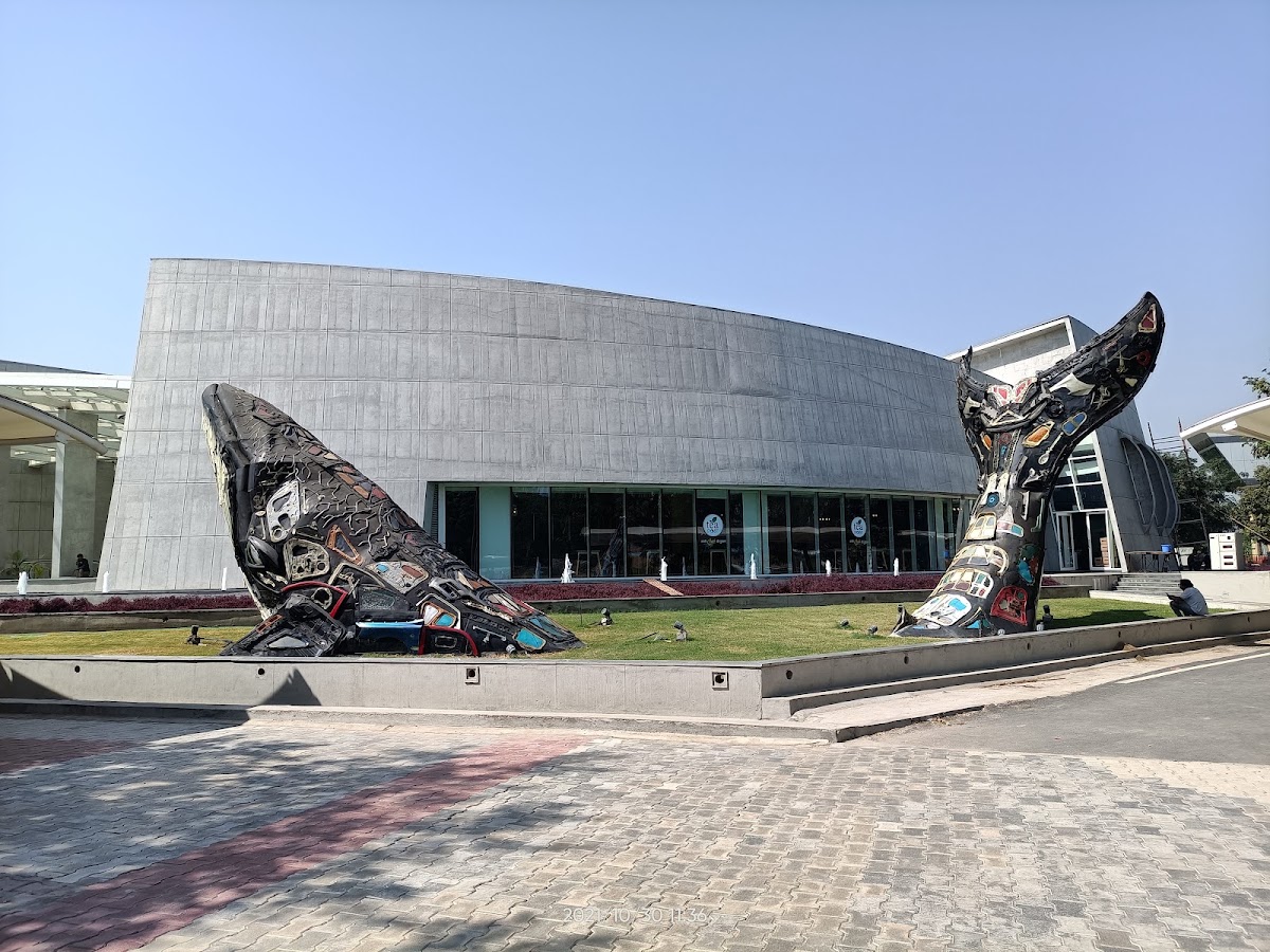 Aquatic Gallery - Science City photo 8