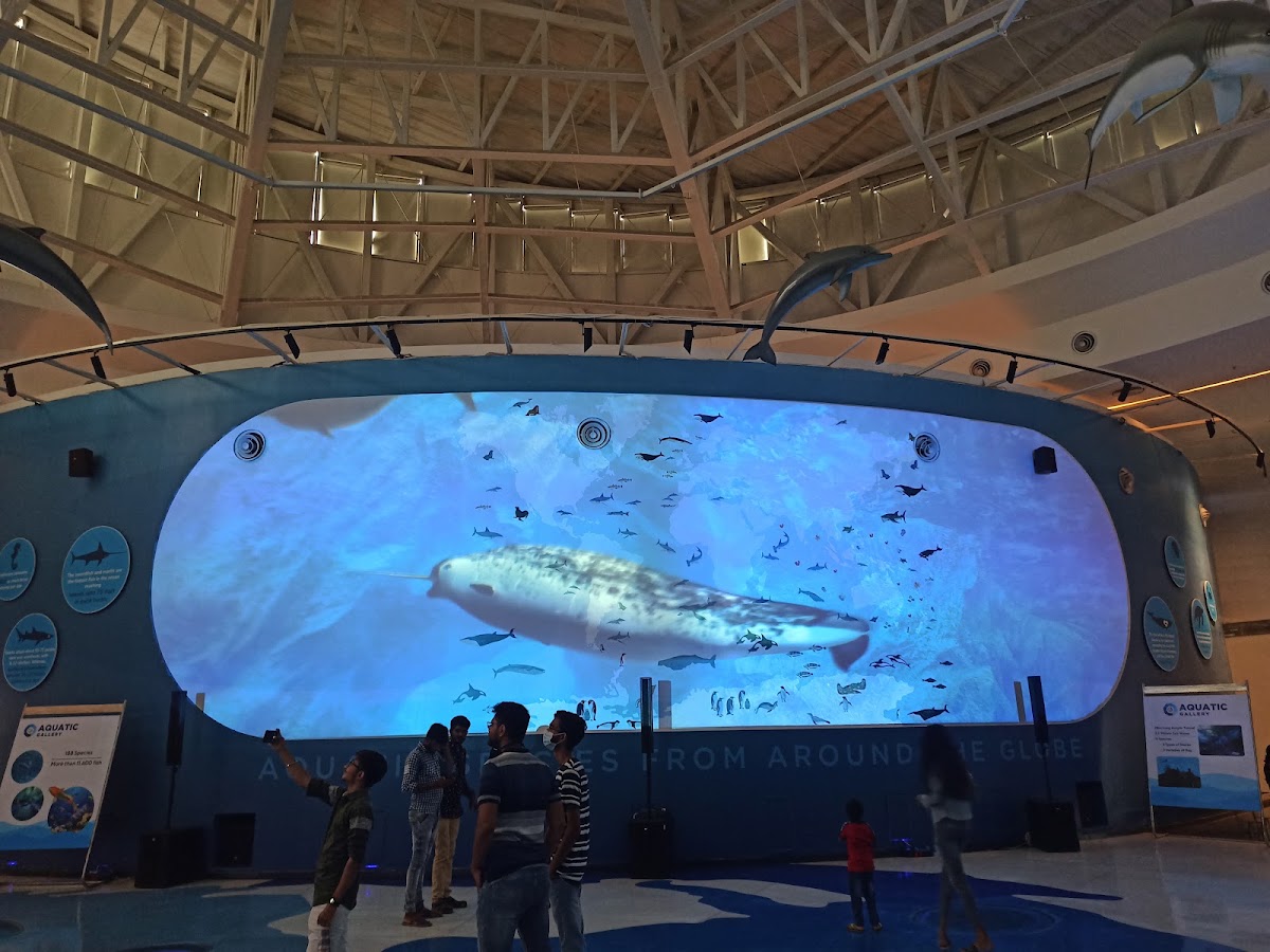 Aquatic Gallery - Science City photo 9