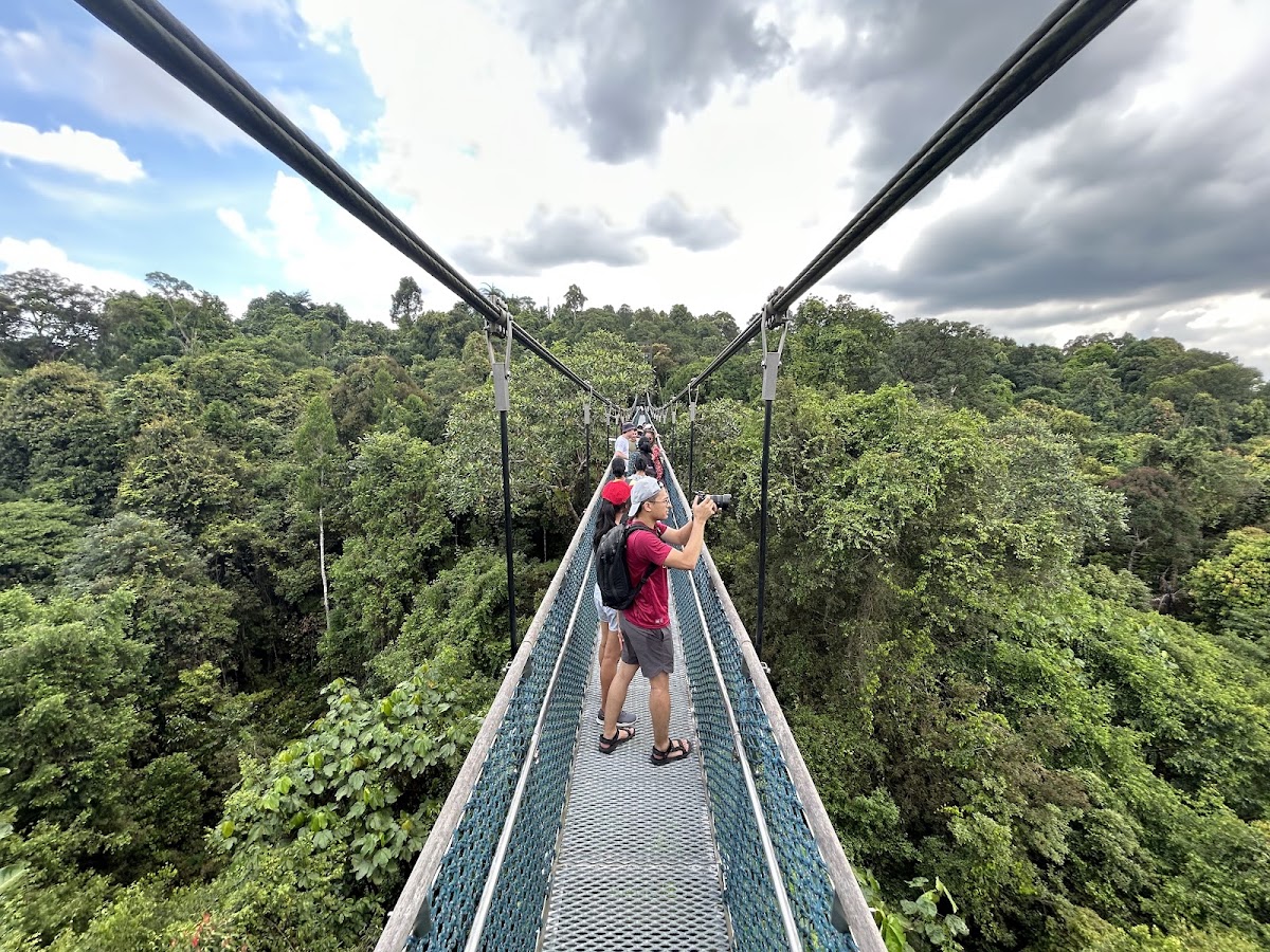 TreeTop Walk