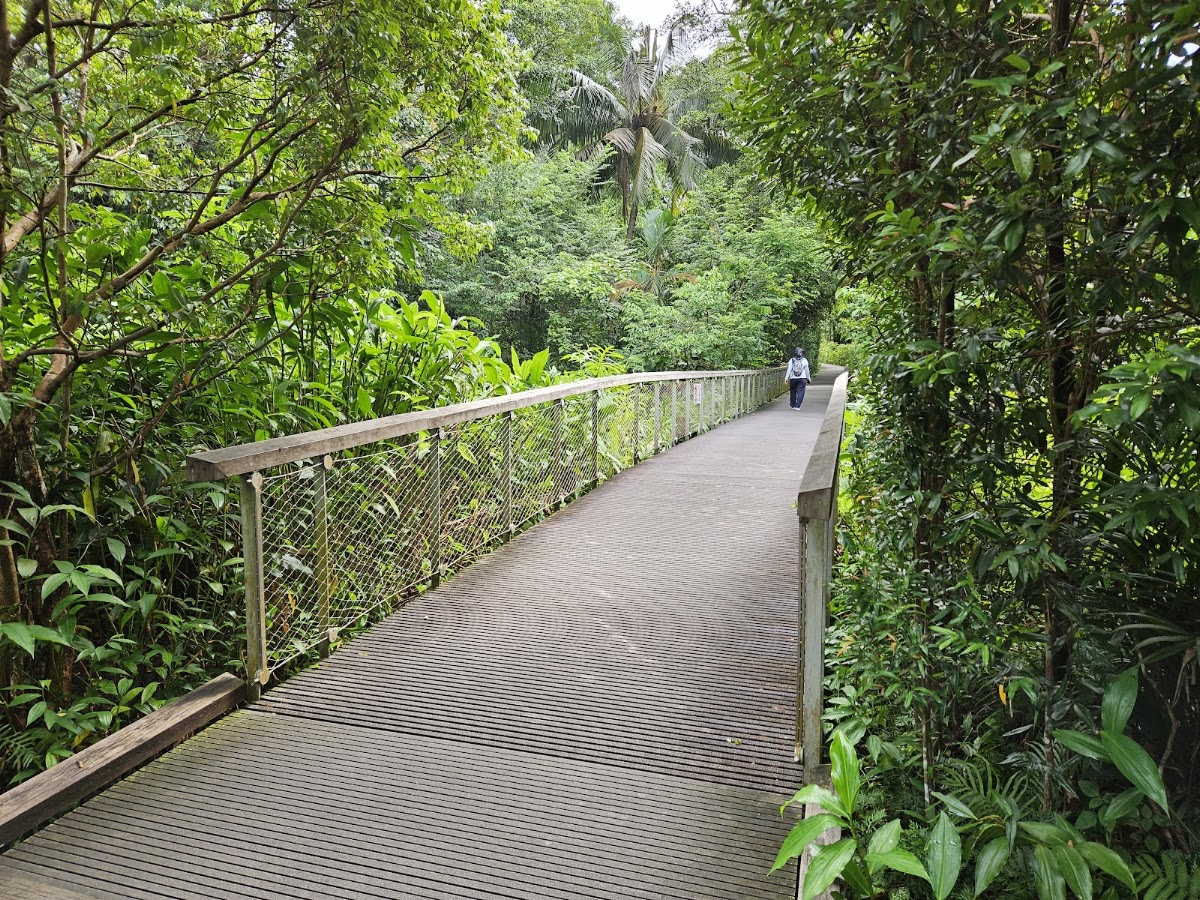 TreeTop Walk photo 2