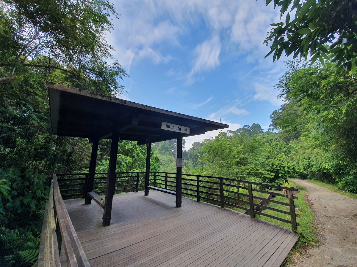 TreeTop Walk photo 3