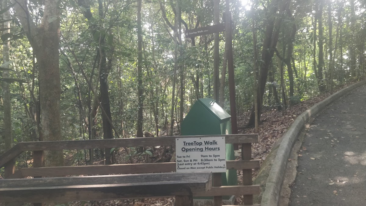 TreeTop Walk photo 8