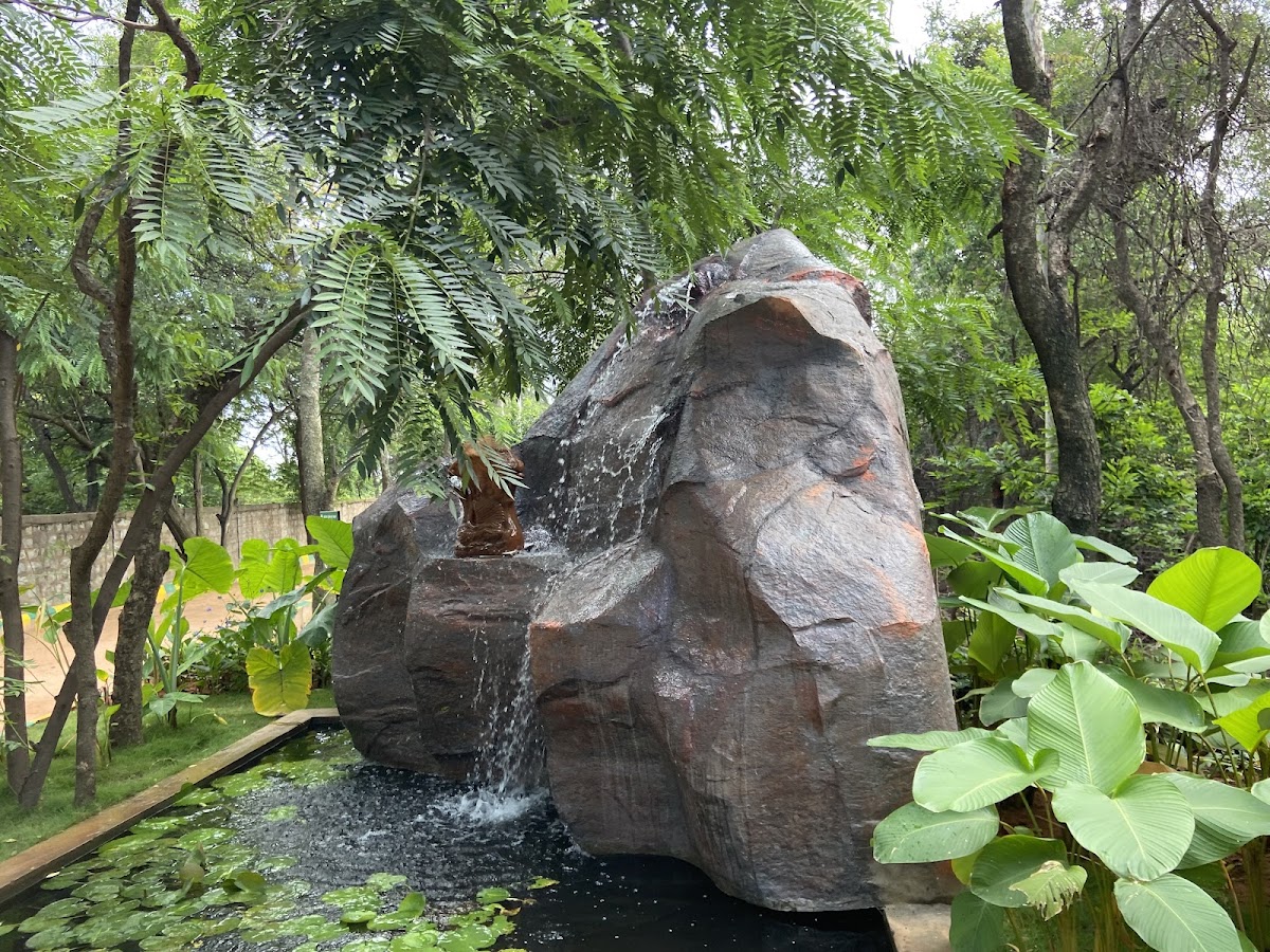 Kadugodi Tree Park photo 6