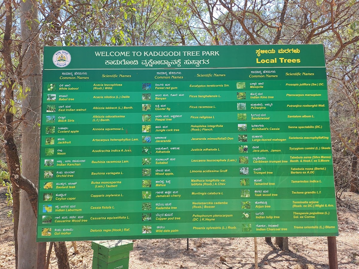 Kadugodi Tree Park photo 7