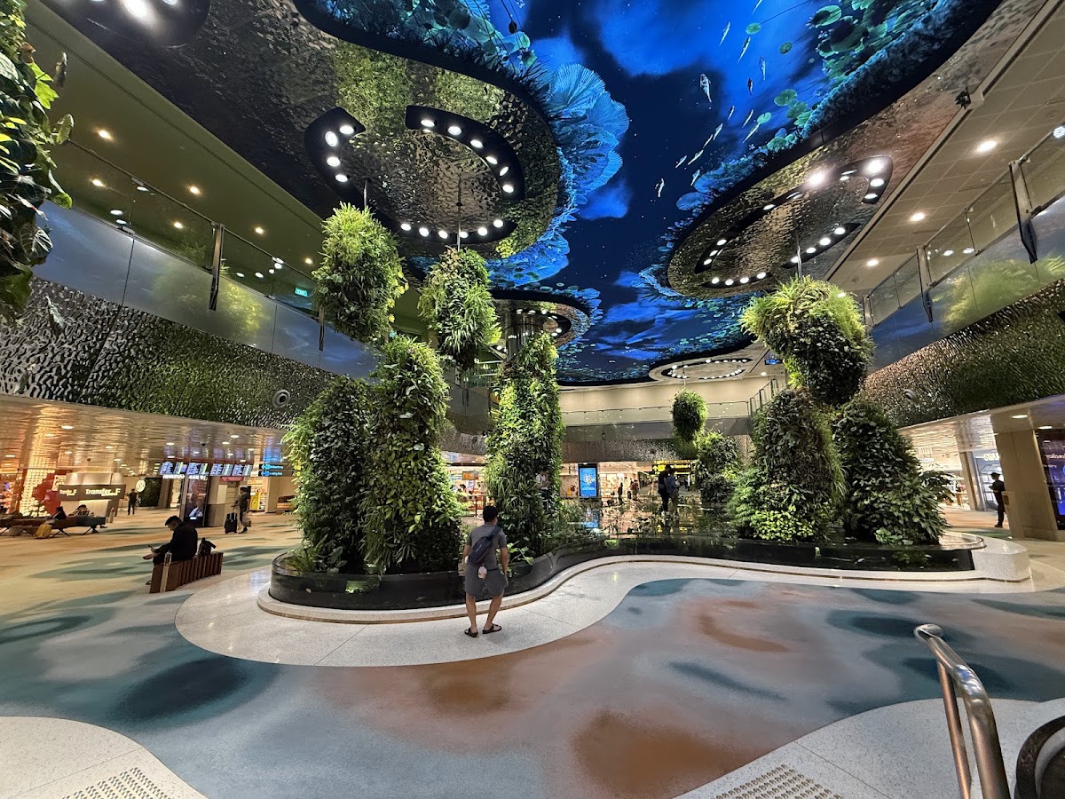 Singapore Changi Airport photo 3