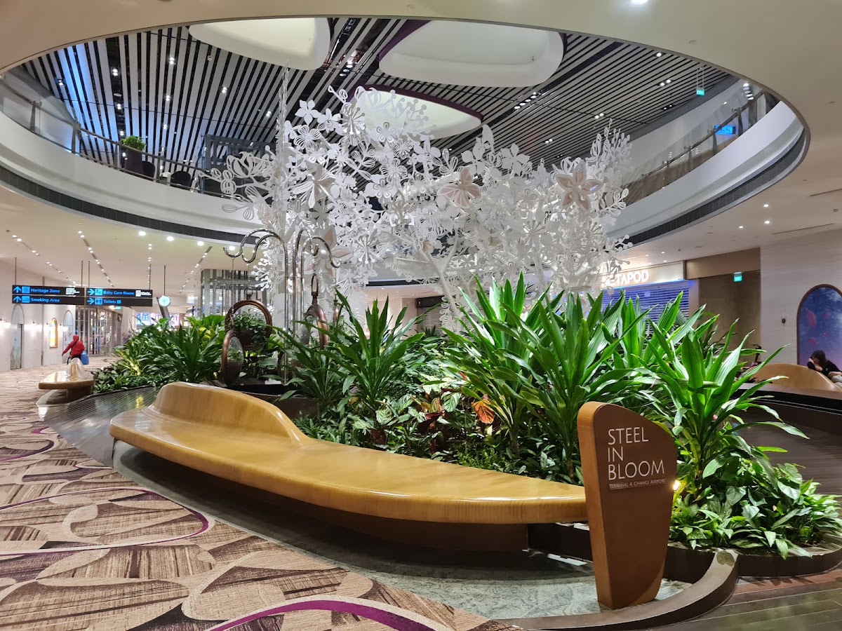 Singapore Changi Airport photo 9