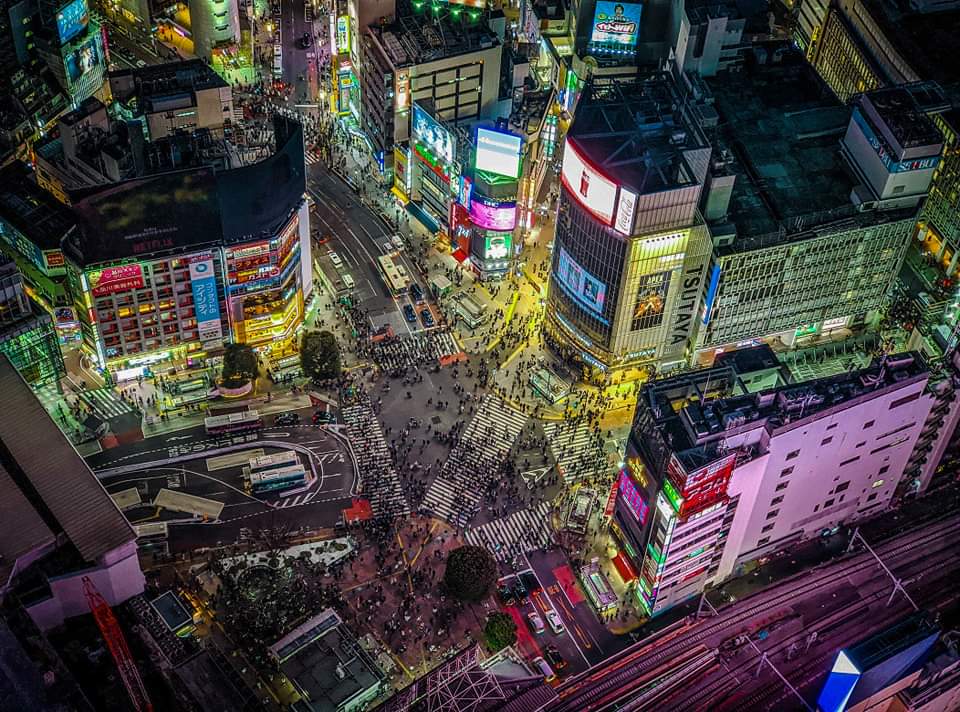 Shibuya Sky photo 4