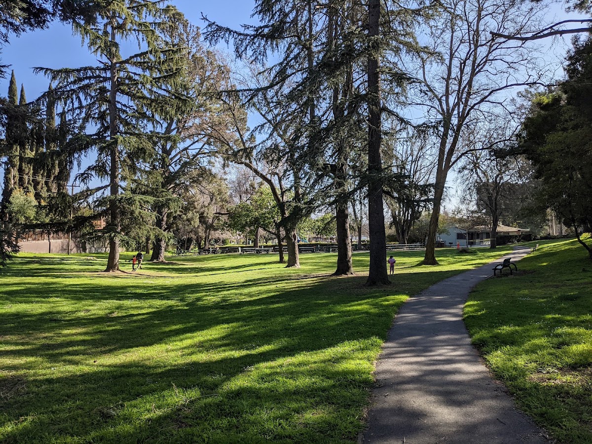 Castro Valley Community Park photo 4
