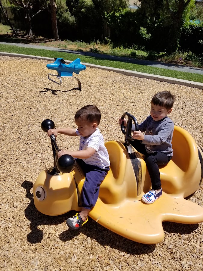 Castro Valley Community Park photo 7