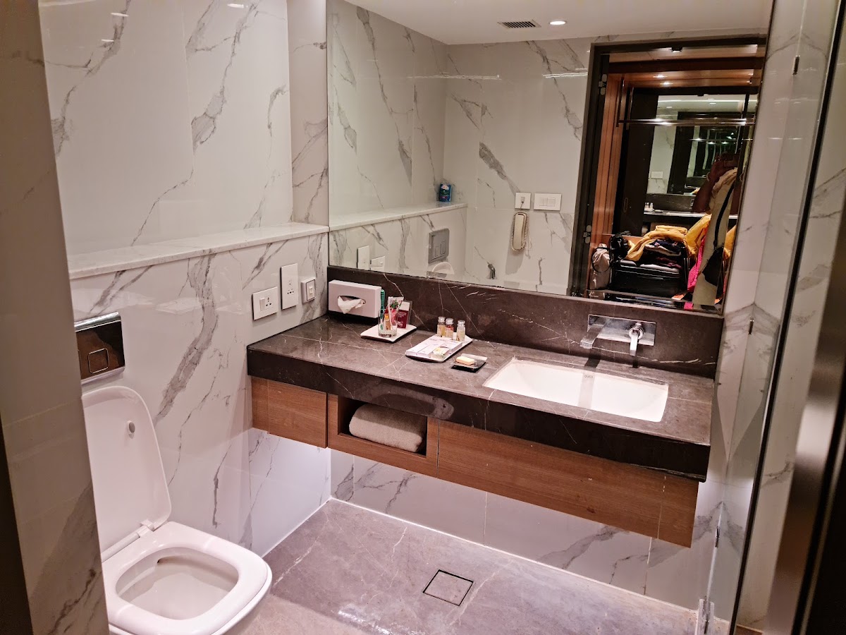 Pride Plaza Hotel Ahmedabad photo 4